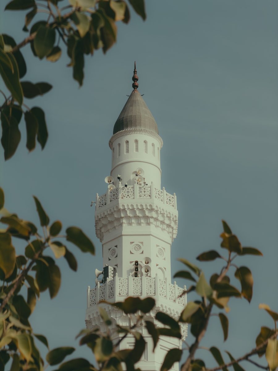 Minaret framed by leaves — graded