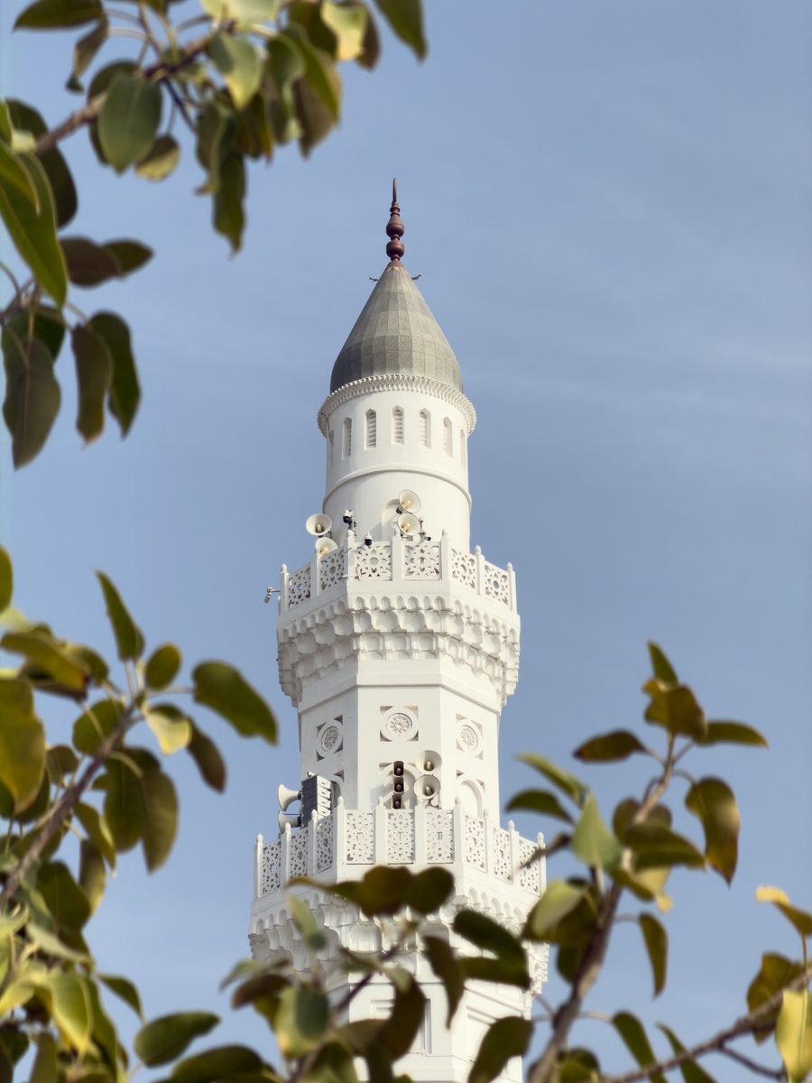 Minaret framed by leaves — original
